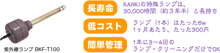 ランプイメージ